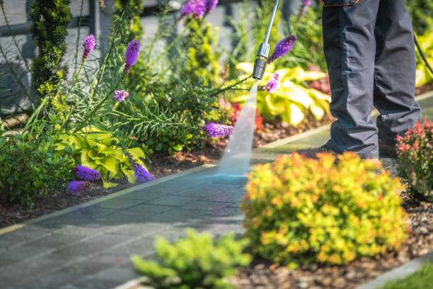  Warm Mineral Springs, FL Pressure Washing Pros