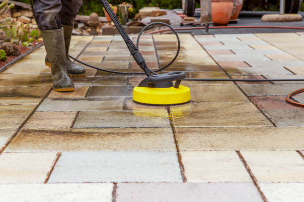 Best Building Exterior Washing  in Warm Mineral Springs, FL