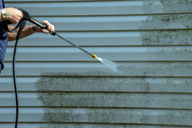 Best Patio and Deck Pressure Washing  in Warm Mineral Springs, FL