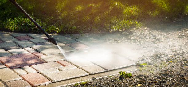 Best Roof Washing  in Warm Mineral Springs, FL